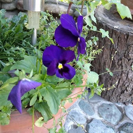 Nina B&B Dilijan Exterior photo