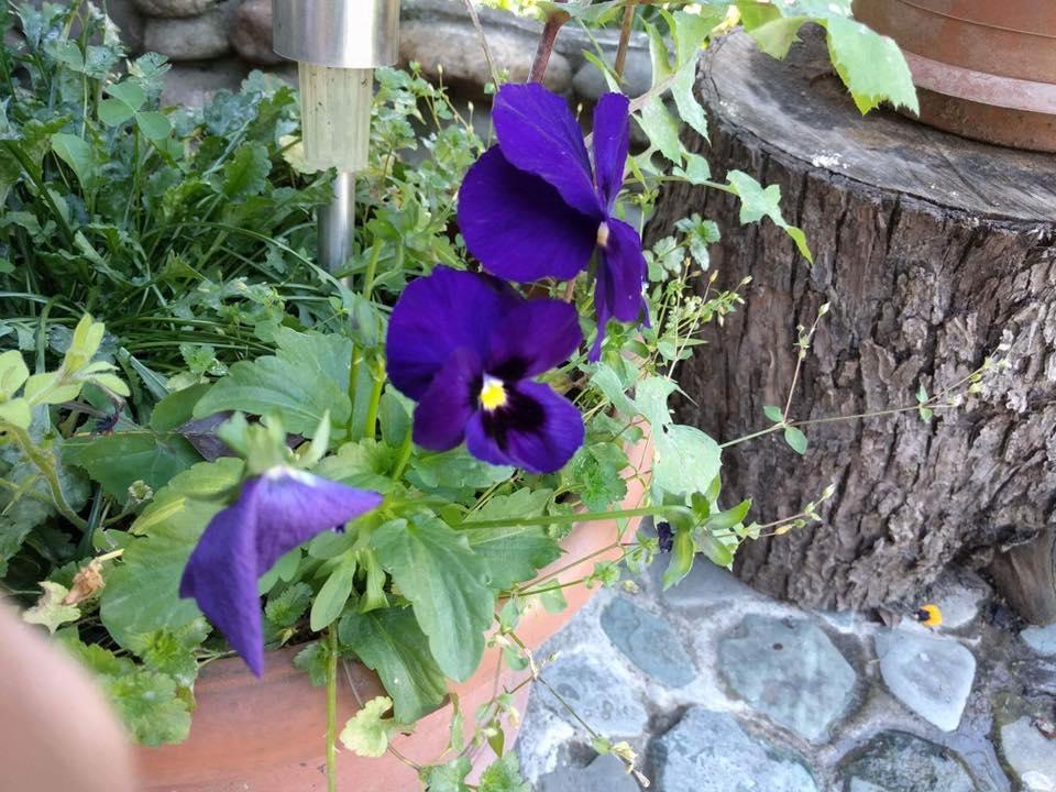 Nina B&B Dilijan Exterior photo